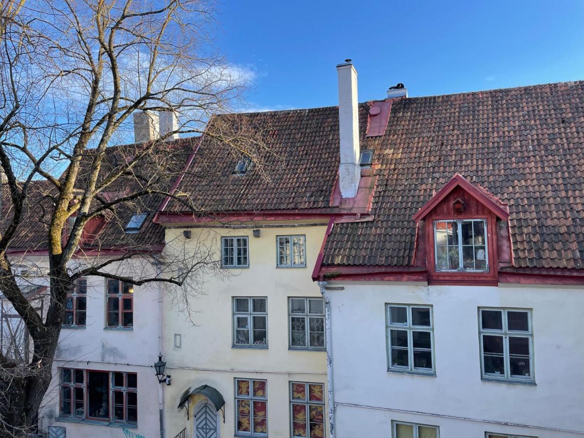 Old Town - Vene Apartment Tallinn Dış mekan fotoğraf